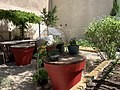 wikimedia_commons=File:Jardin partagé pédagogique La Pinède (Lyon) - mai 2019 (2).jpg
