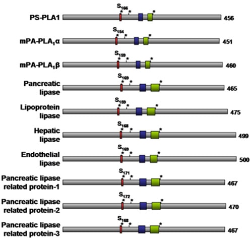 Figure2